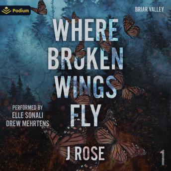 Where Broken Wings Fly: Briar Valley, Book 1