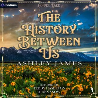 The History Between Us: Copper Lake, Book 4