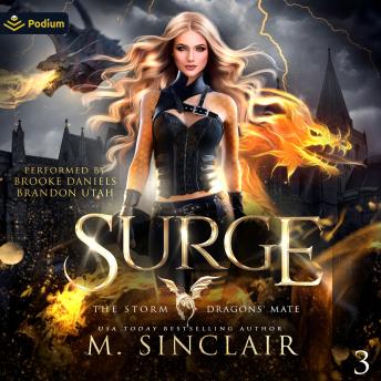 Surge: The Storm Dragons' Mate, Book 3