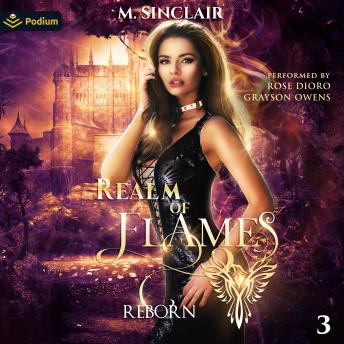 Realm of Flames: Reborn, Book 3
