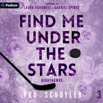 Find Me Under the Stars: Nighthawks, Book 3