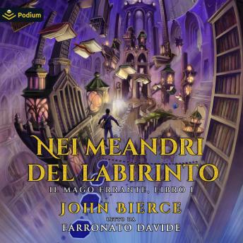 [Italian] - Nei meandri del labirinto: Il mago errante, Libro 1