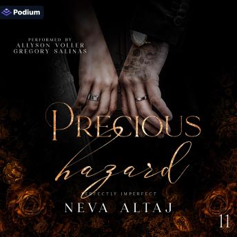 Precious Hazard: Perfectly Imperfect, Book 11