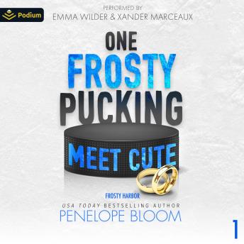 One Frosty Pucking Meet Cute: Frosty Harbor, Book 1