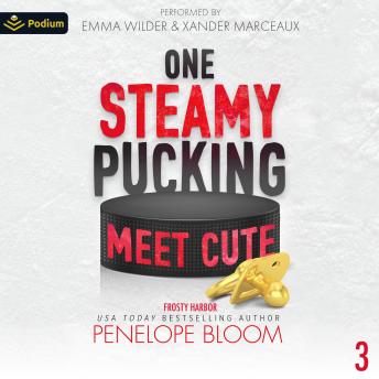 One Steamy Pucking Meet Cute: Frosty Harbor, Book 3