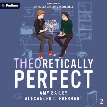 Theoretically Perfect: Theoretically Straight, Book 2