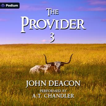 The Provider 3: The Provider Saga, Book 3