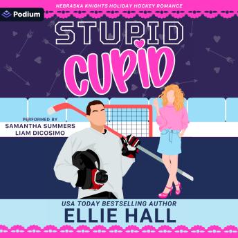 Stupid Cupid: A Nebraska Knights Holiday Hockey Romance