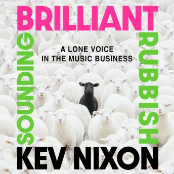 Brilliant Sounding Rubbish: A Lone Voice In The Music Business