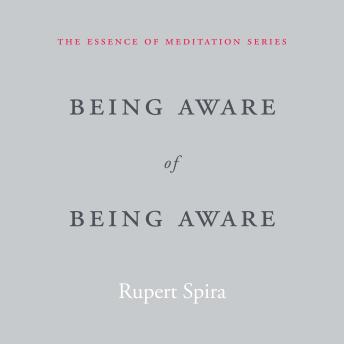 Being Aware of Being Aware