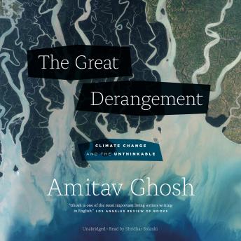 The Great Derangement: Climate Change and the Unthinkable