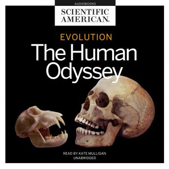 The Human Story Evolution