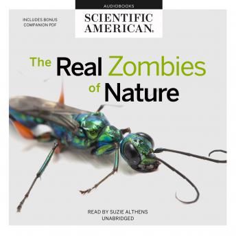 Real Zombies of Nature sample.