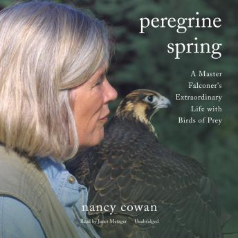 Peregrine Spring: A Master Falconer's Extraordinary Life with Birds of Prey, Audio book by Nancy Cowan