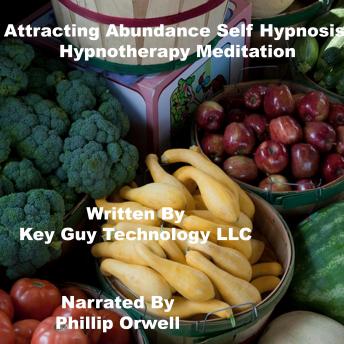 Listen Attracting Abundance Self Hypnosis Hypnotherapy Meditation By Key Guy Technology Llc Audiobook audiobook