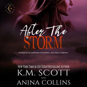 After The Storm: A Project Artemis Novel