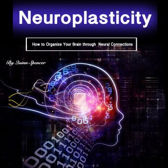 Neuroplasticity: How to Organize Your Brain Through Neural Connections, Audio book by Quinn Spencer