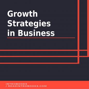 Growth Strategies  in Business