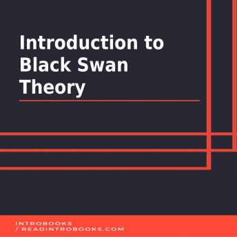 Introduction to  Black Swan Theory