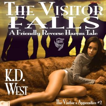 The Visitor Falls: A Friendly Reverse Harem Tale