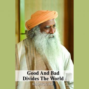 Good and Bad Divides the World audiobook