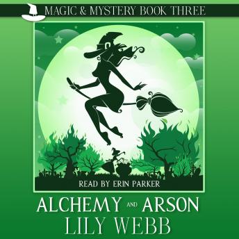 Download Alchemy and Arson: Paranormal Cozy Mystery by Lily Webb