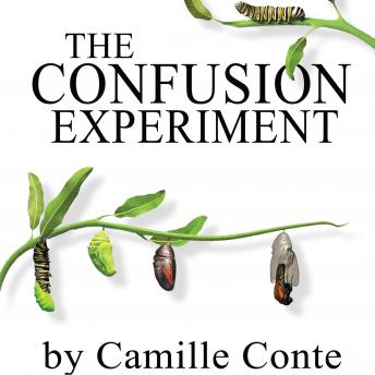 The Confusion Experiment: a 100 day journey from the head to the heart and beyond