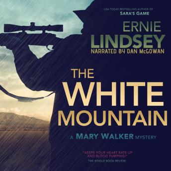 The White Mountain: An Action Adventure Thriller