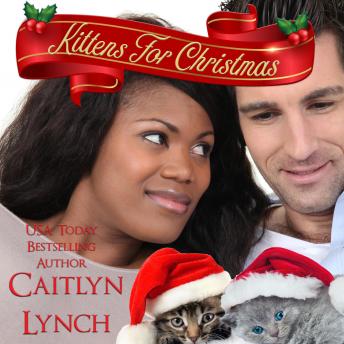 Kittens for Christmas, Audio book by Caitlyn Lynch