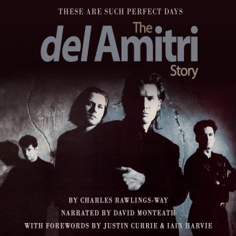 These Are Such Perfect Days: The Del Amitri Story