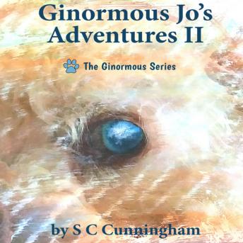 Ginormous Jo's Adventures II: 5 Book Boxset