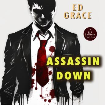 Assassin Down: Non-Stop Assassin Thriller