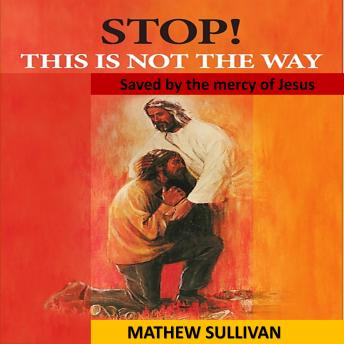 STOP! This is not the way: Saved by the mercy of Jesus
