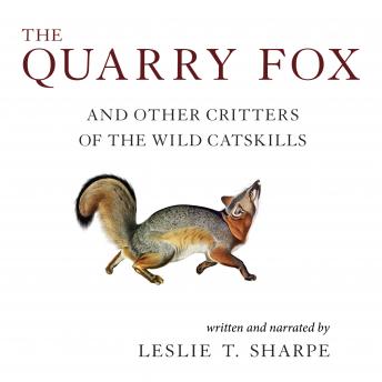 The Quarry Fox: And Other Critters of the Wild Catskills