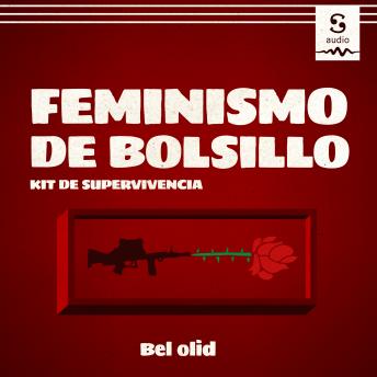 [Spanish] - Feminismo de bolsillo