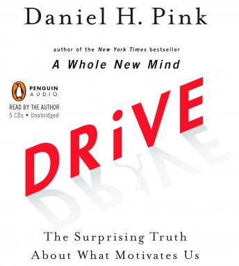Drive: The Surprising Truth About What Motivates Us, Audio book by Daniel H. Pink
