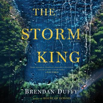 Storm King: A Novel, Brendan Duffy
