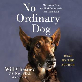 JACK just an ordinary dog in the dog house by Susan Tarr