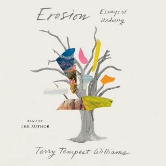 Erosion: Essays of Undoing