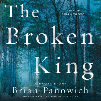 The Broken King: A McFalls County Story