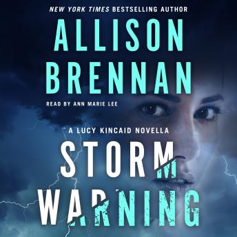 Storm Warning: A Lucy Kincaid Novella