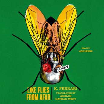 Like Flies from Afar: A Novel