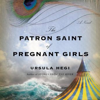 The Patron Saint of Pregnant Girls: A Novel