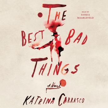 The Best Bad Things: A Novel