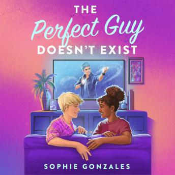 The Perfect Guy Doesn't Exist: A Novel