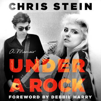 Under a Rock: A Memoir