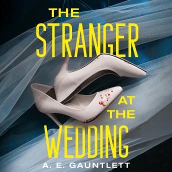 The Stranger at the Wedding: A Novel