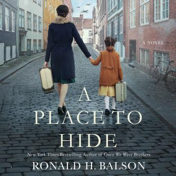 A Place to Hide: A Novel