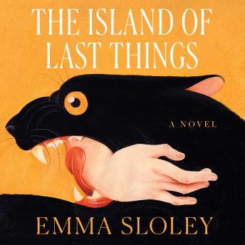 The Island of Last Things: A Novel