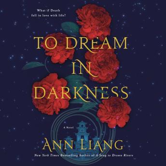 To Dream in Darkness: A Novel